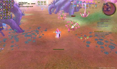 flyff offline|Dragon Crusade .